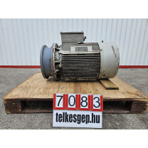Villanymotor, Siemens 1A6 225-2AR91Z 45 kW