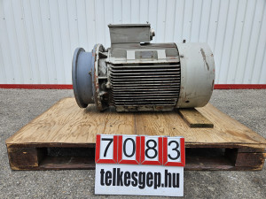 Villanymotor, Siemens 1A6 225-2AR91Z 45 kW